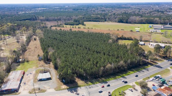 TBD Hwy 171, South: TBD Hwy 171, South, Deridder, LA 70634